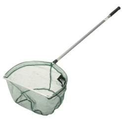 EPUISETTE AUTAIN BASSIN