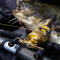 MOULINET CASTING SHIMANO CALCUTTA CONQUEST -Savage Gear Soldes moulinet casting shimano calcutta conquest z 1492 149266 4