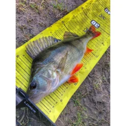 TOISE FISHXPLORER STREETFISHER -Savage Gear Soldes toise fishxplorer streetfisher z 2473 247370 10