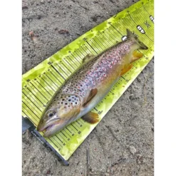 TOISE FISHXPLORER STREETFISHER -Savage Gear Soldes toise fishxplorer streetfisher z 2473 247370 7